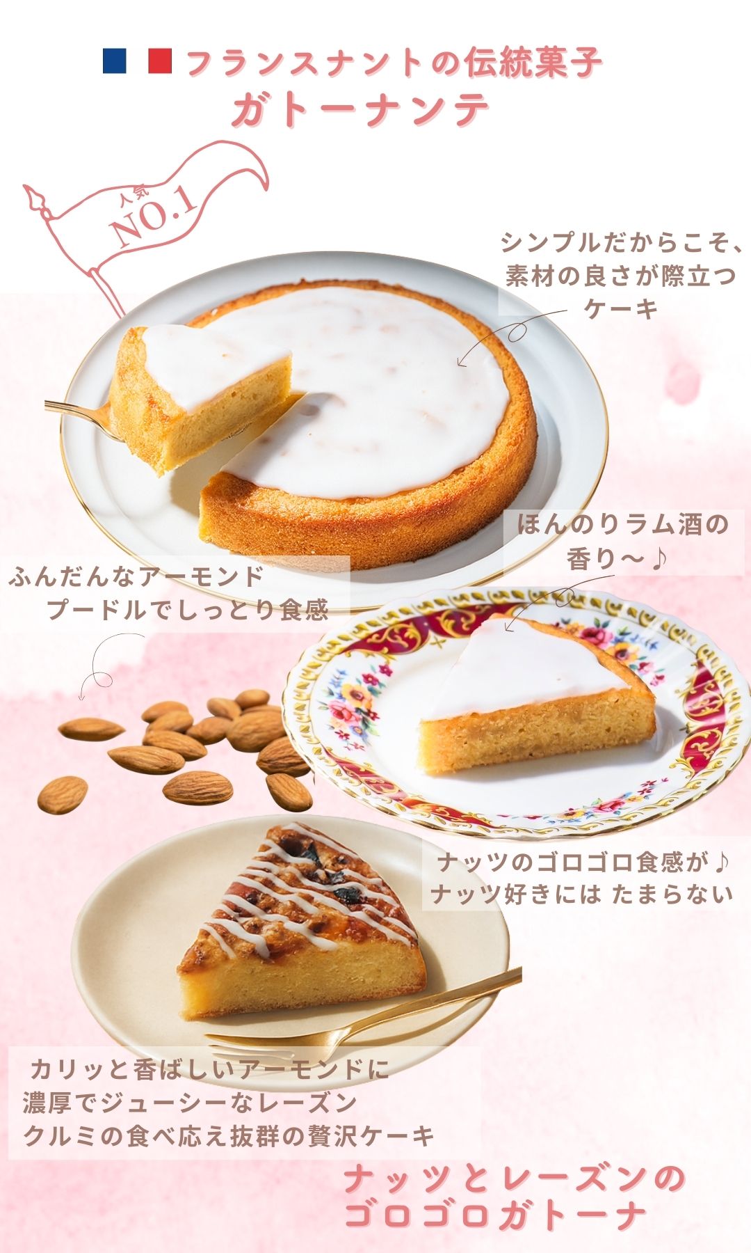 ガトーナンテ紹介（PC用）